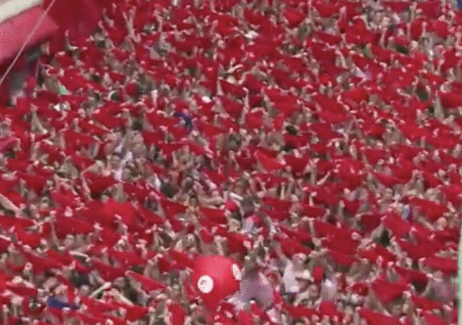 Comment: When the male cattle are completely released