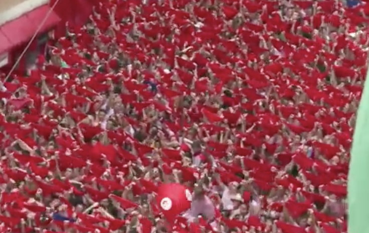 Comment: When the male cattle are completely released